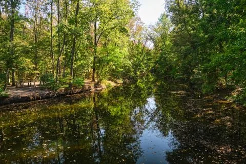 River in fall forest. Nature composition landscape. Foto stock
