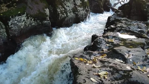 River falls through rocks covered with leaves. Stock Footage 258676544