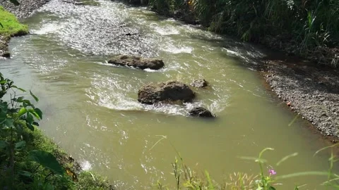 River with fast current and big river rocks. Static Shot Details Stock Footage 225199900