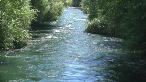 River with fast current Stock Footage 245598014