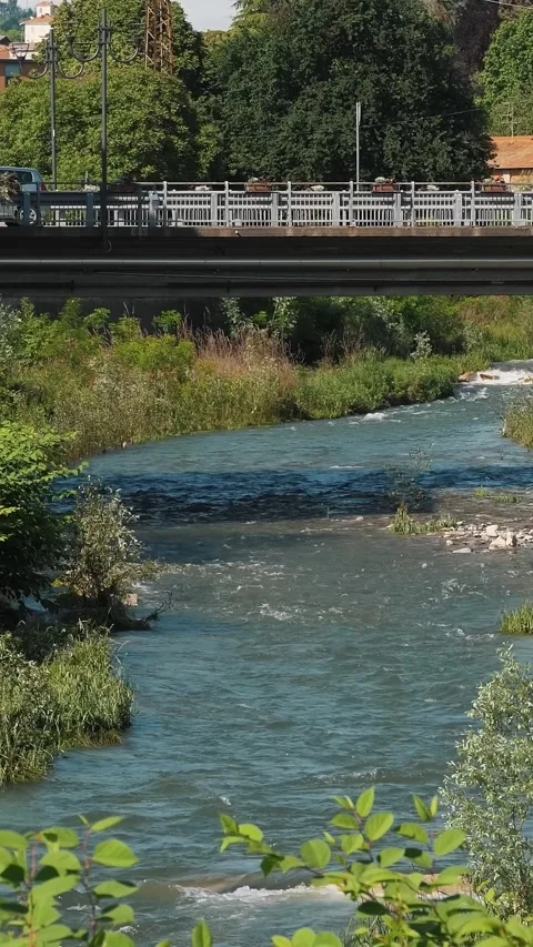 River with fast current passes under stone bridge amid lush riverside vegetation Stock-Footage 313345988