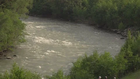 A river with a fast flow of water in the forest. Stock Footage 157865924