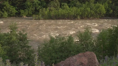 A river with a fast flow of water in the forest. Stock Footage 157866090
