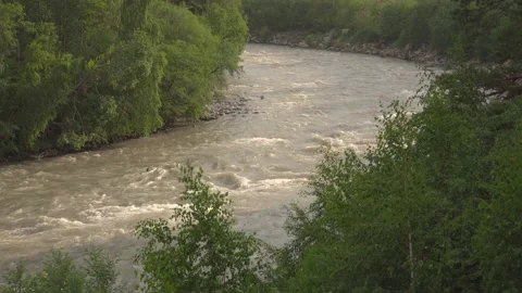 A river with a fast flow of water in the forest. Stockbeeldmateriaal 157906774