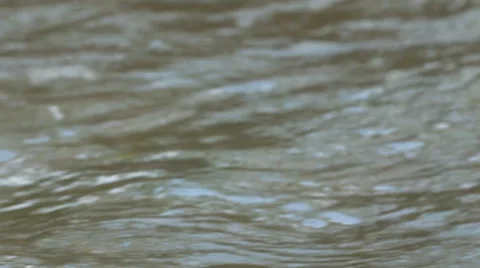 River fast flowing. Stock Footage 50236511