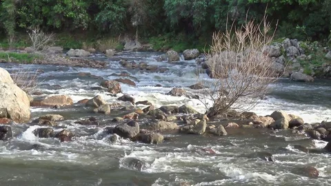 River fast flowing water through rocks Stock Footage 78499793