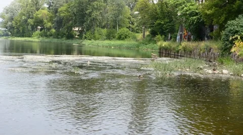 The river fast. 動画素材 52883527