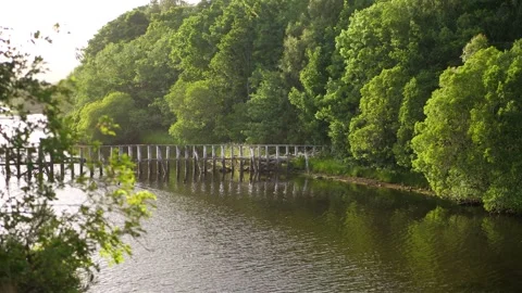 River Feet Sutherland Stock Footage 278433388
