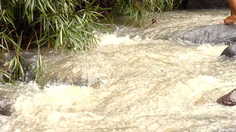 River feets Video stock 43167793