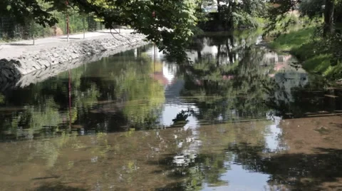 River Felda - Thuringia Germany Video stock 41040634