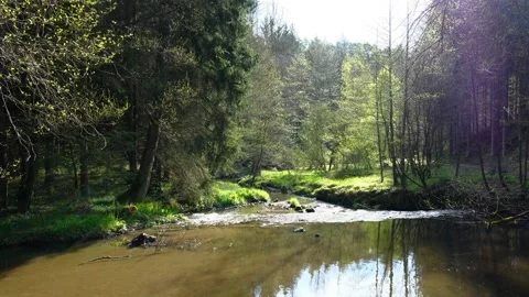 River feldaist in the valley thurytal Stock Footage 153838367