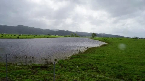 River in Ferndale Video stock 75018408