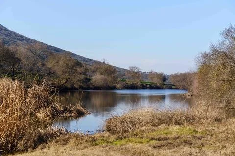 A river with a few trees in the background Stock Photos