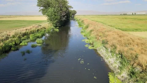 River fields aerial view Stock Footage 240752341
