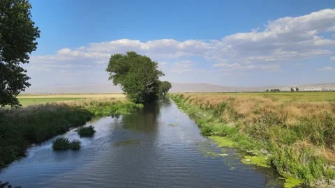River fields landscape in nature Stock-Footage 240750747