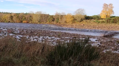 River Findhorn Stock Footage 240007608