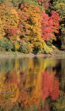 River on fire reflection Stock Photos