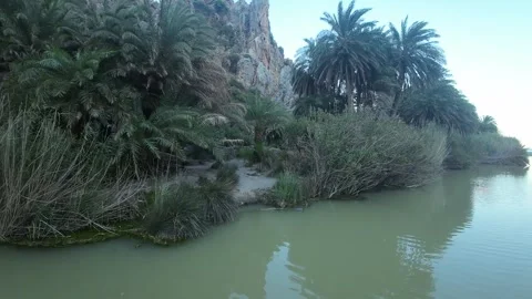 RIVER, FIRTH, JUNGLE Stock Footage 280917473