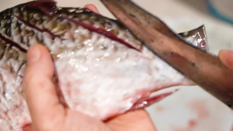 River fish carp, is cutting into pieces, with kitchen knife  frying. Vidéo 148850764