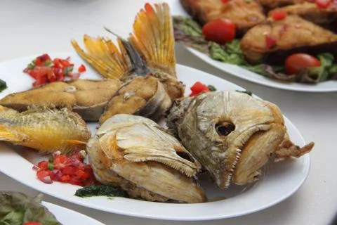 River fish dish Stock Photos