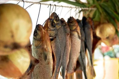 River fish dried on ropes. Foto stock