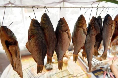 River fish dried on ropes. Stock Photos