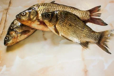 River fish in its raw form Stock Photos