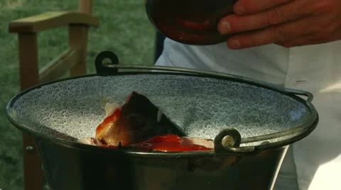 River fish, raw, tomato sauce Stock Footage 11316463