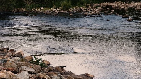 River floating Stock Footage 125704408