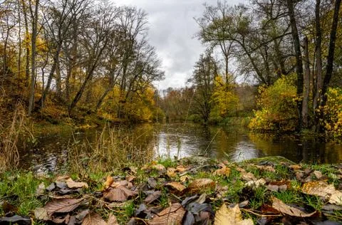 A river floating through a colourful autumn forest. Picture from Scania county Stock Photos