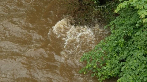 River In Flood 01 Stock Footage 113066554
