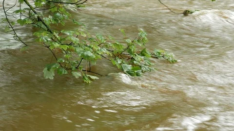 River In Flood 03 Stock Footage 113066646
