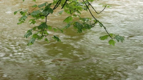 River In Flood 04 Stock Footage 113066270