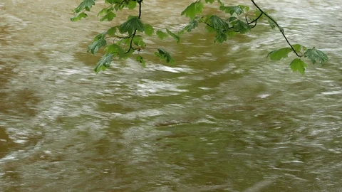 River In Flood 05 Stock Footage 113063218