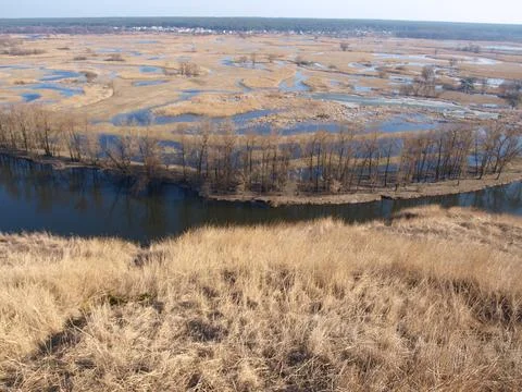 River flood in early spring. High water. Foto stock