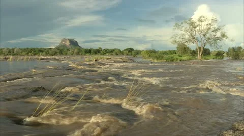 River in Flood Stock Footage 10839685