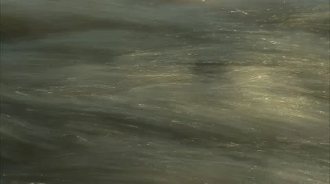 River in Flood Stock Footage 10841742