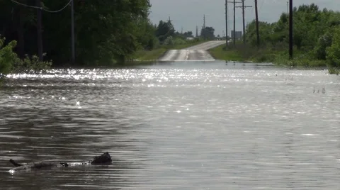 River in Flood Stock Footage 54756237