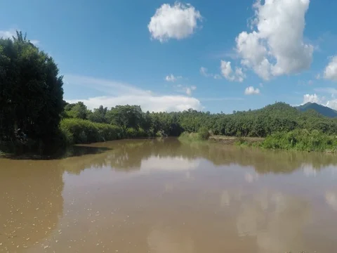 River in Flood Stock Footage 78177796