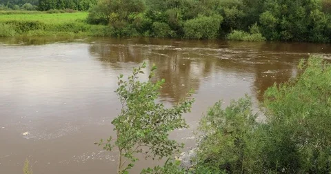 River in flood Stock Footage 80261994