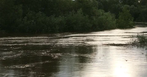 River in flood Stock Footage 80261997