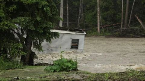 River flood Stock Footage 263850423