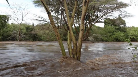 River Flood in Kenya Stock Footage 107406758