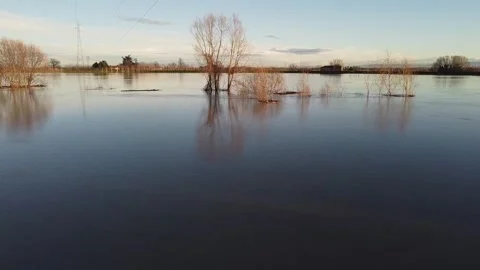 River flood with submerged trees, top view at sunset. Stock Footage 147246808