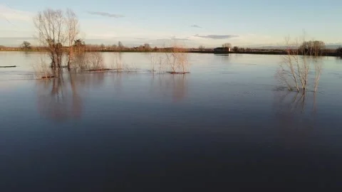 River flood with submerged trees, top view at sunset. Stock-Footage 147246870