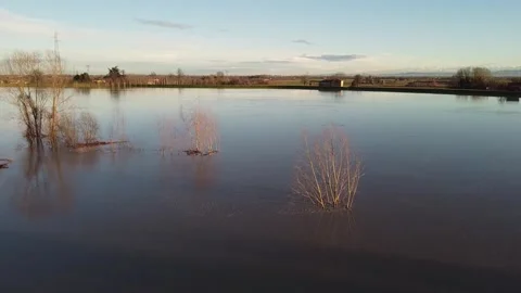 River flood with submerged trees, top view at sunset. Stock Footage 147247058