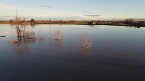 River flood with submerged trees, top view at sunset. Stock-Footage 147247095
