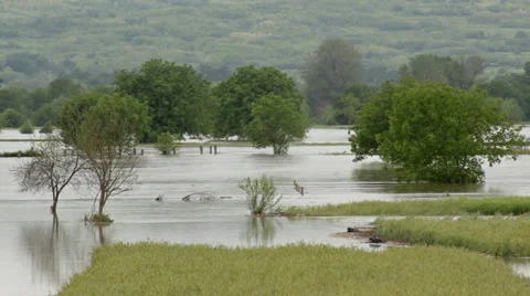 River flooded agricultural fields after storm. Flooded countryside. Landscape. Stock Footage 38936106