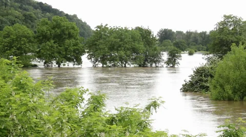 River flooded agricultural fields after storm. Agriculture. Beautiful landscape. Stock Footage 38996063