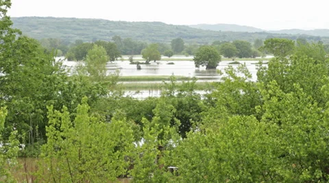 River flooded agricultural fields and forest after storm. Beautiful landscape. 스톡 동영상 38866908